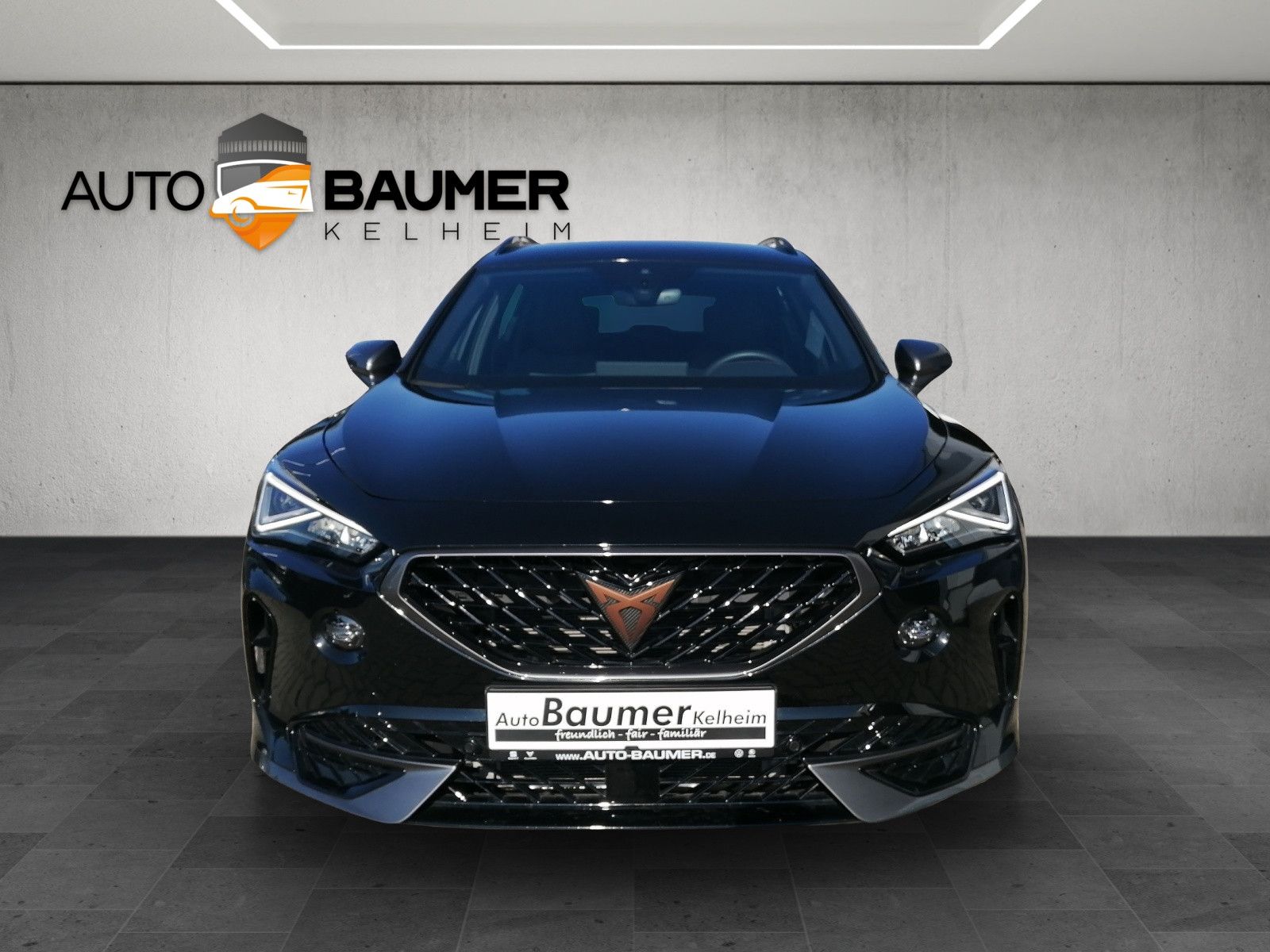 Fahrzeugabbildung CUPRA Formentor 1.5 TSI DSG elHK FAP XL Smart Amb KAM