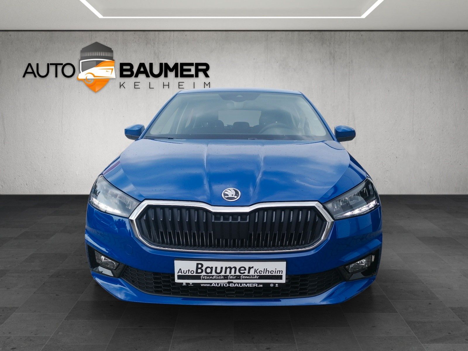 Fahrzeugabbildung SKODA Fabia 1.0 TSI Selection PDC hi Smart Li GRA