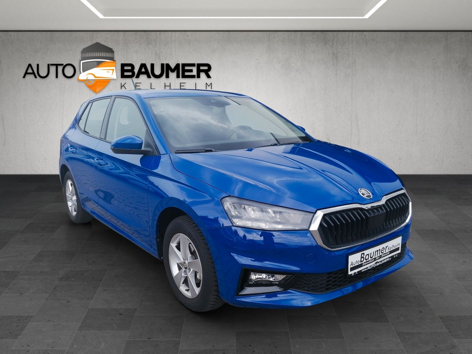 Fahrzeugabbildung SKODA Fabia 1.0 TSI Selection PDC hi Smart Li GRA