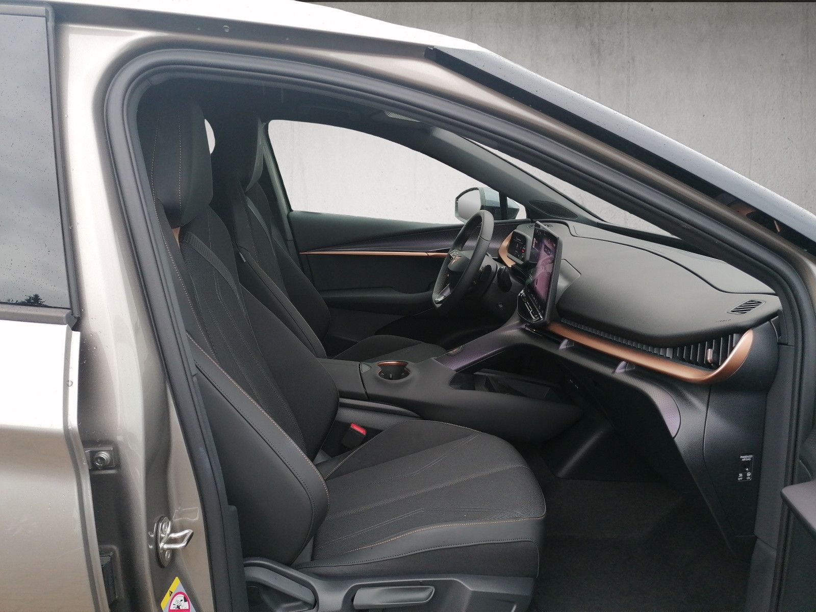 Fahrzeugabbildung CUPRA Tavascan 210 kW Wärmepumpe GJR