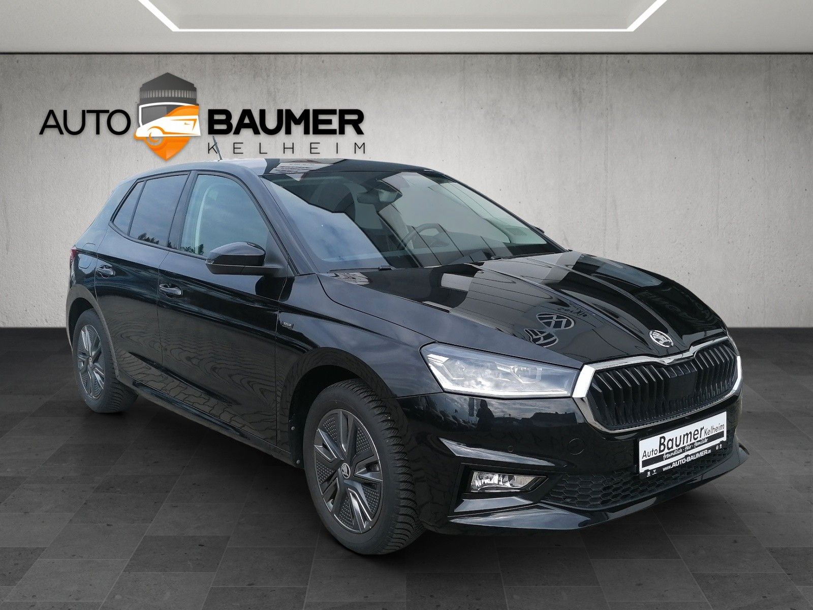 Fahrzeugabbildung SKODA Fabia 1.0 TSI DSG Tour AHK ACC NAVI KAMERA