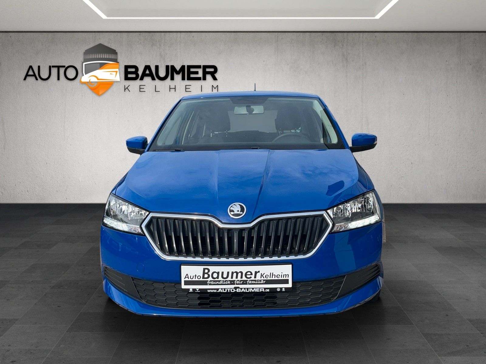 Fahrzeugabbildung SKODA Fabia 1.0 TSI 95PS Klima el. Fensterheber