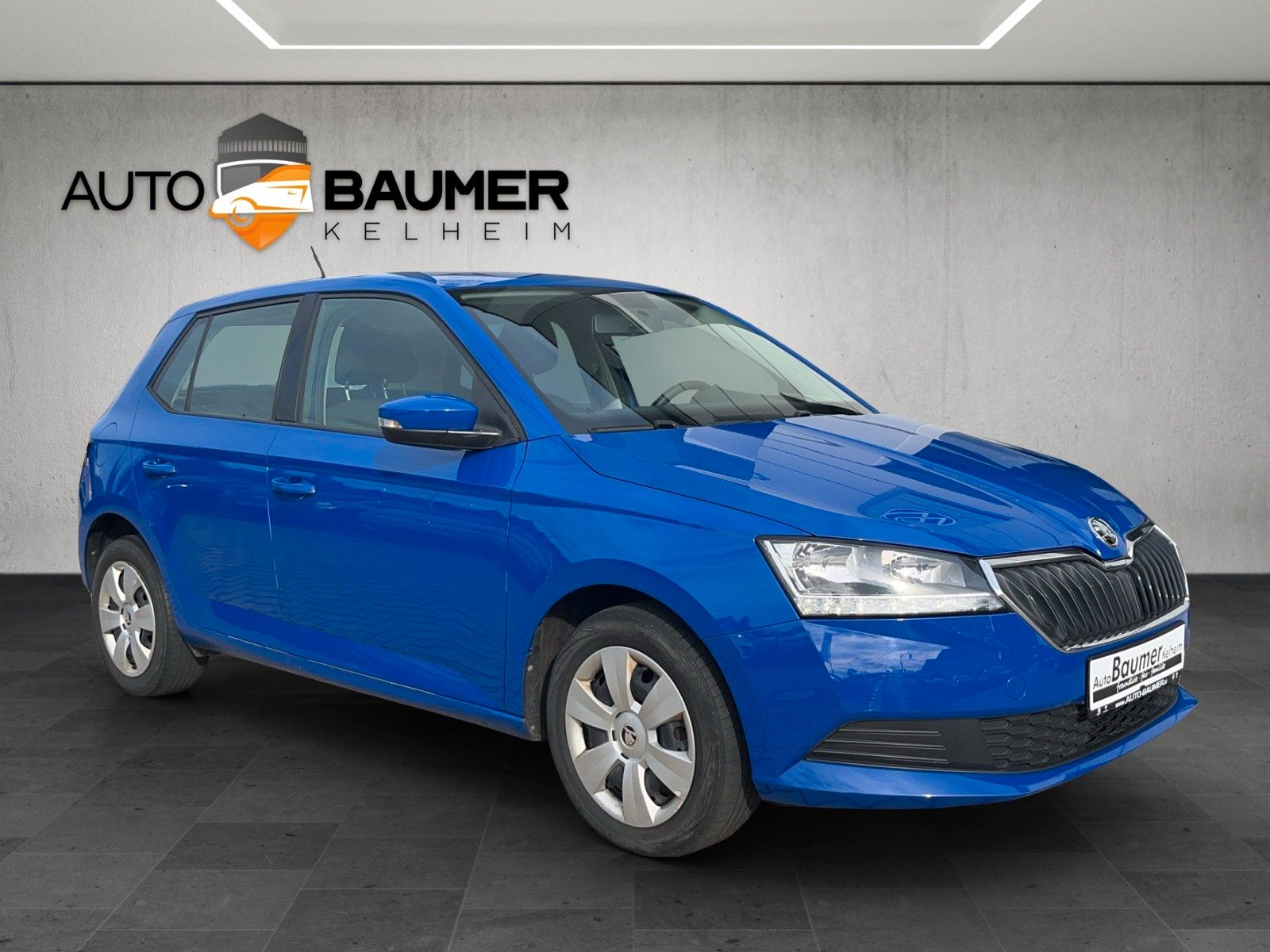 Fahrzeugabbildung SKODA Fabia 1.0 TSI 95PS Klima el. Fensterheber
