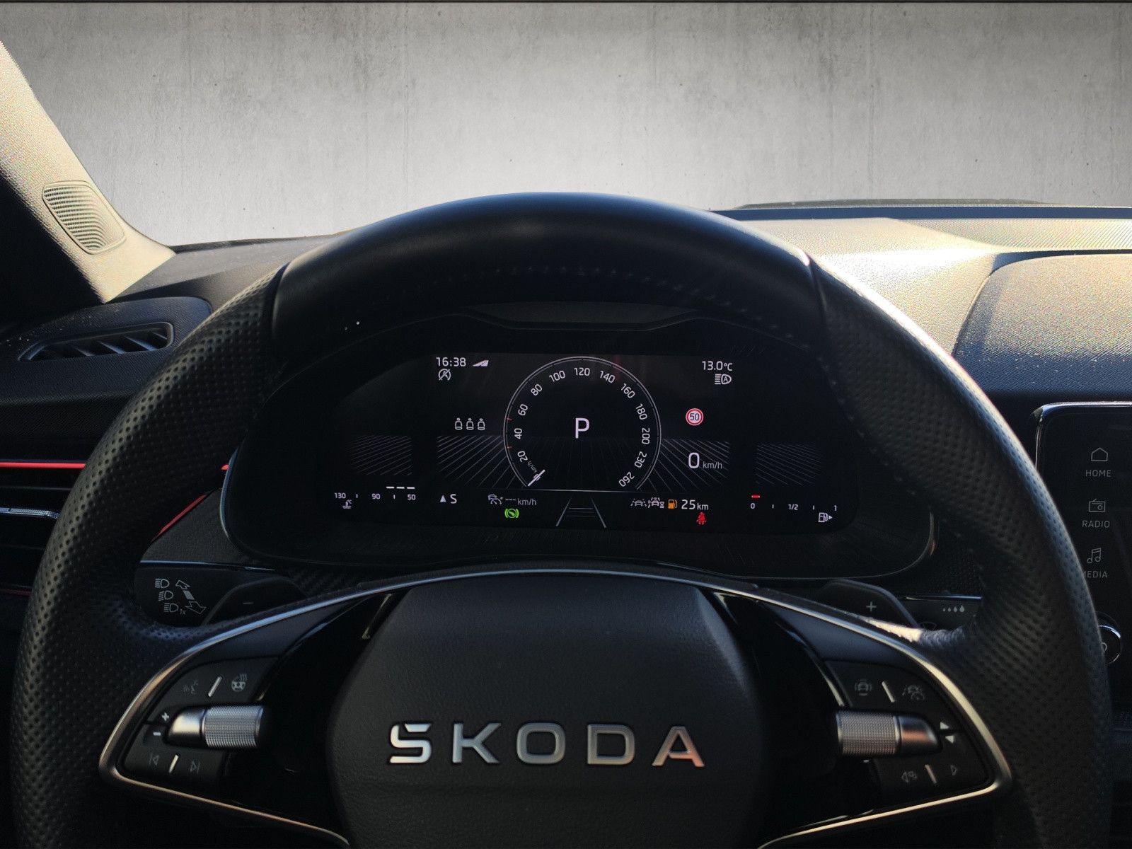Fahrzeugabbildung SKODA Kamiq 1.0 TSI Monte Carlo DSG MATRIX ACC PANO